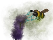 Phân bón dạng phun ảnh hưởng đến việc thụ phấn của ong nghệ